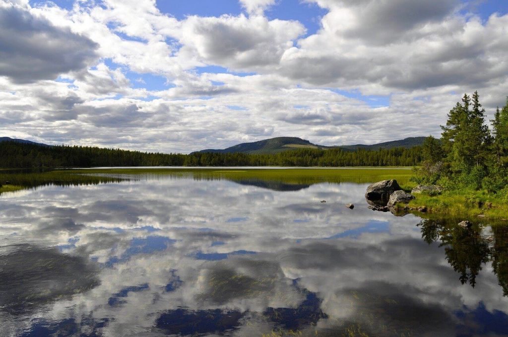 Swedish Countryside