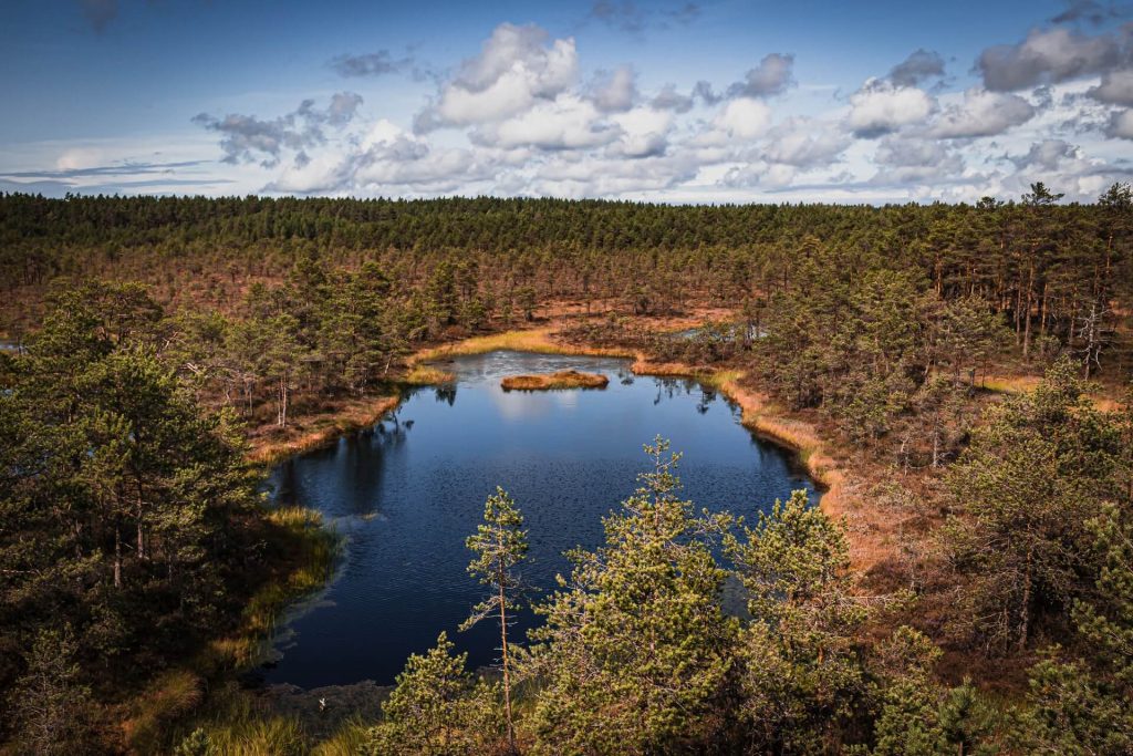 Lahemaa National Park, Estonia