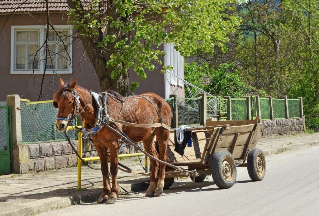 Bulgaria in spring