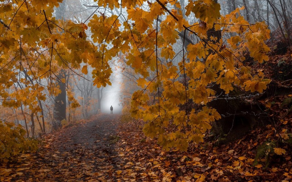 Croatia in autumn