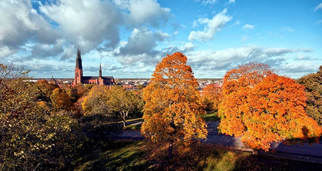 Sweden in autumn