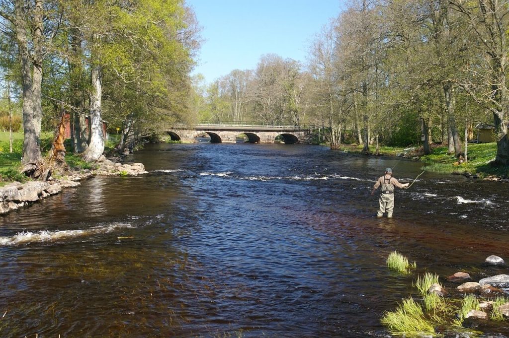 A man fly fishing in a stream in Sweden
