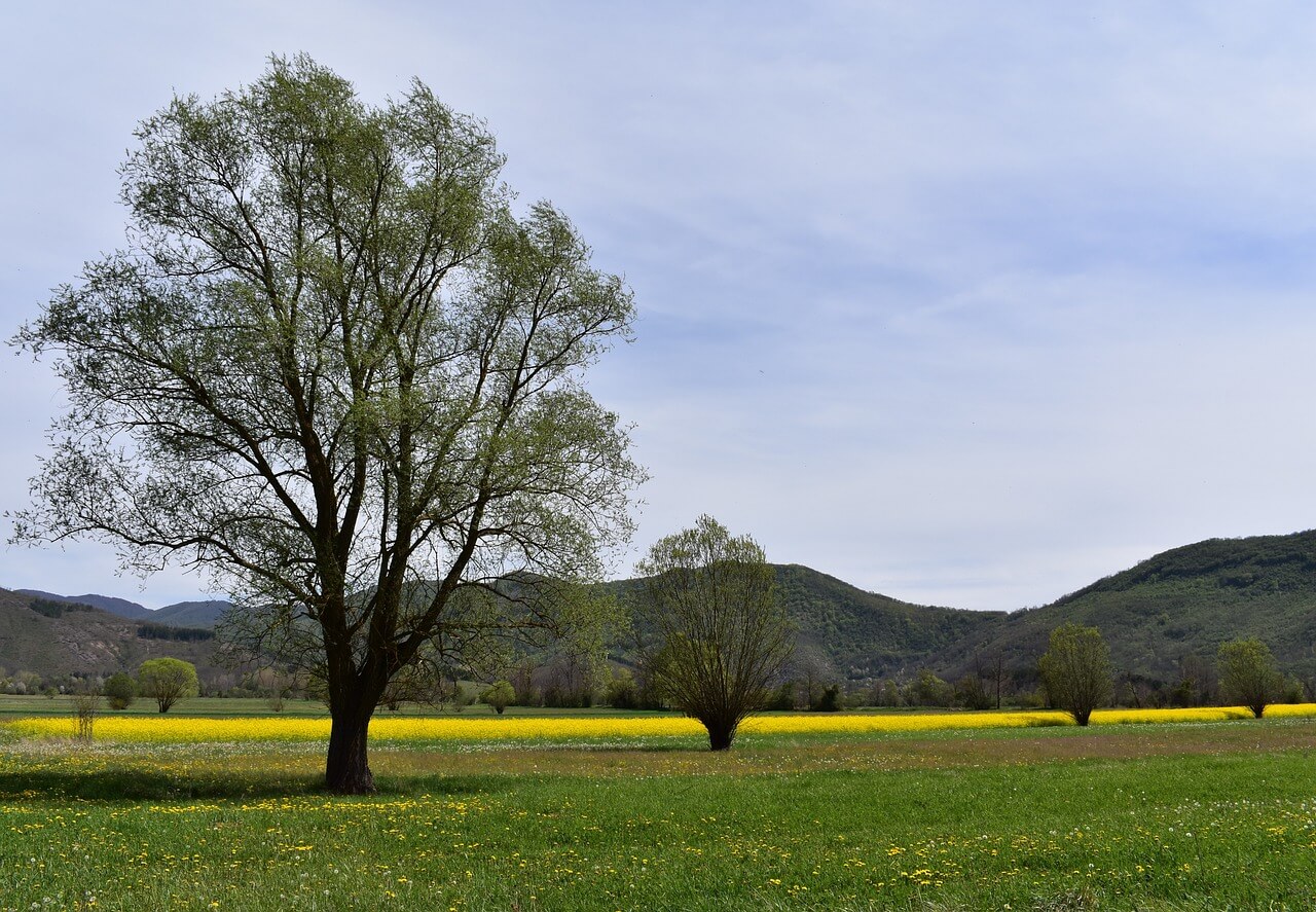 Best time to visit Macedonia 🧑️‍️ ️ (Climate, Weather, Crowds)