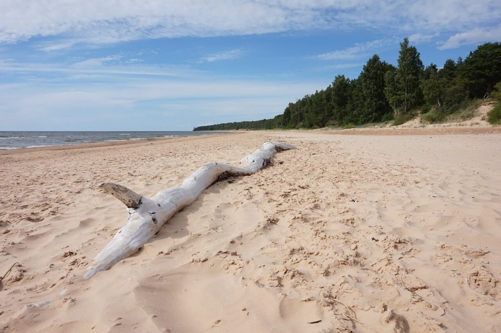 Latvian coast